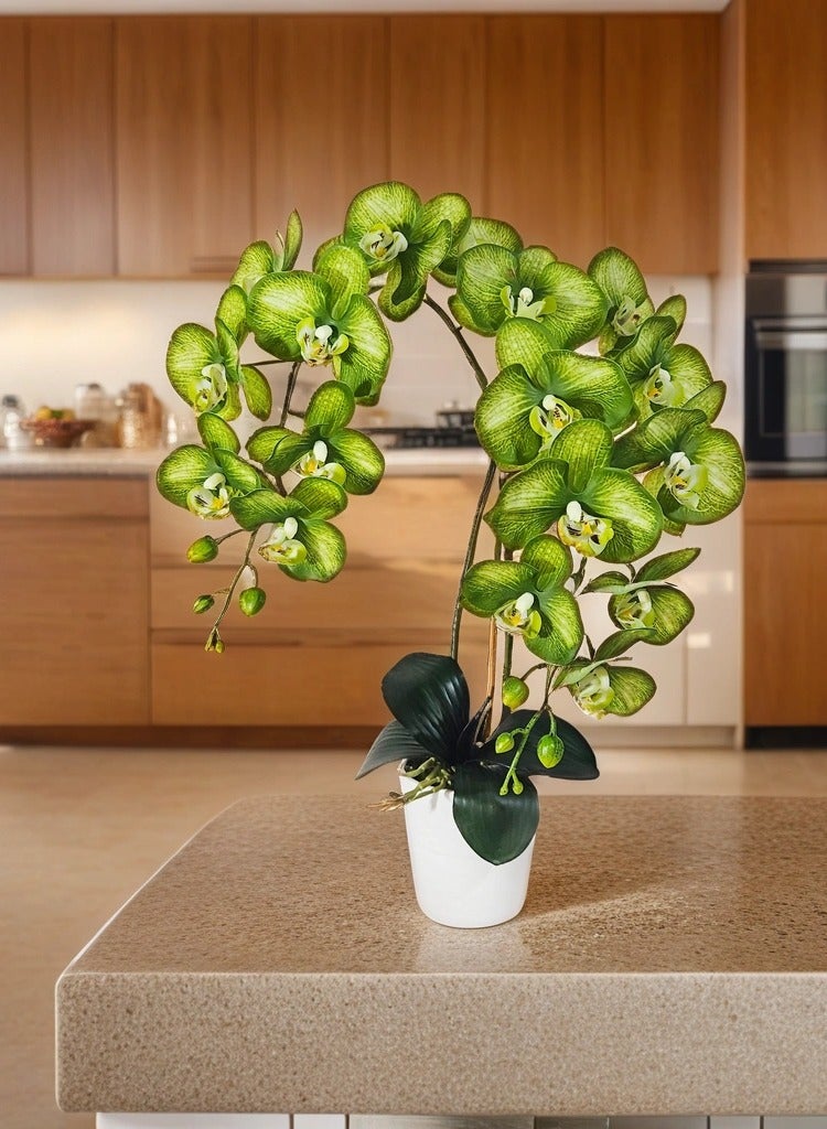 Generic Magic Style Artificial Green Orchid 2 stems in White ceramic pot  - Image 3