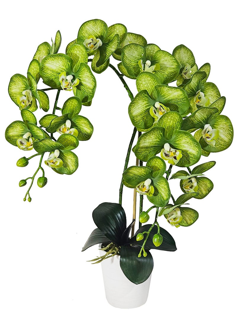 Generic Magic Style Artificial Green Orchid 2 stems in White ceramic pot  - Image 1