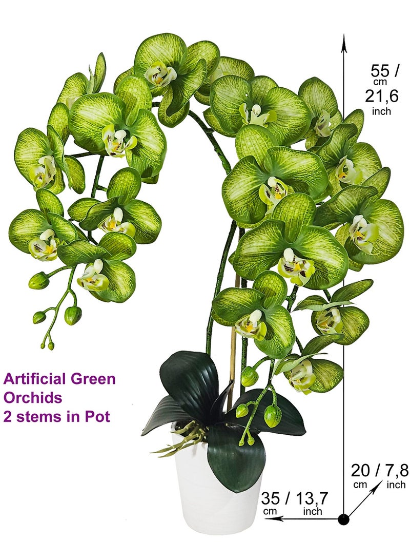 Generic Magic Style Artificial Green Orchid 2 stems in White ceramic pot  - Image 2