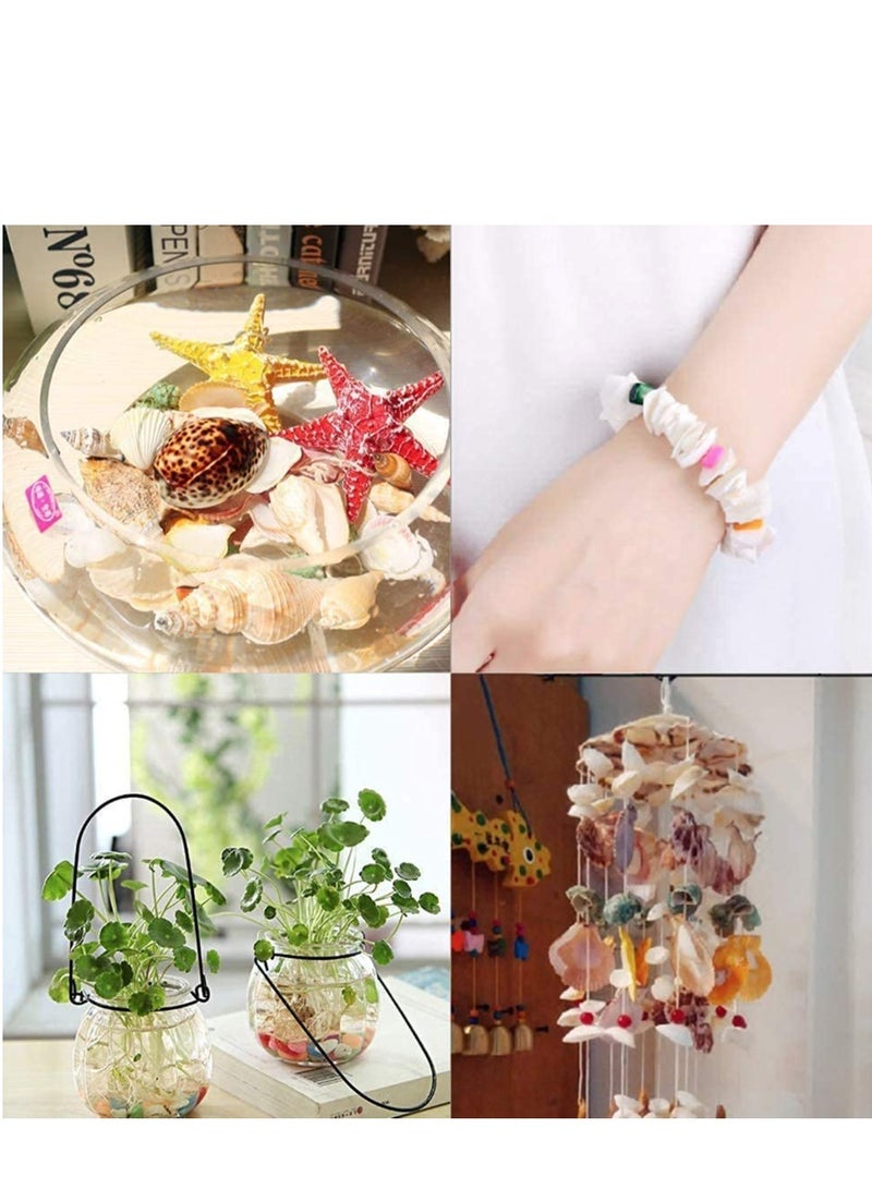 Excefore Small Tiny Sea Shells White Clam Bulk Natural Seashell for DIY Craft Home Decor Vase Fillers, 100Pcs - Image 5