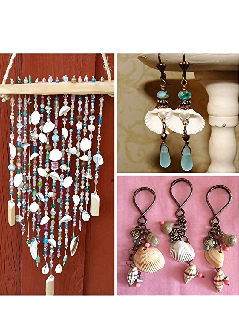 Excefore Small Tiny Sea Shells White Clam Bulk Natural Seashell for DIY Craft Home Decor Vase Fillers, 100Pcs - Image 3