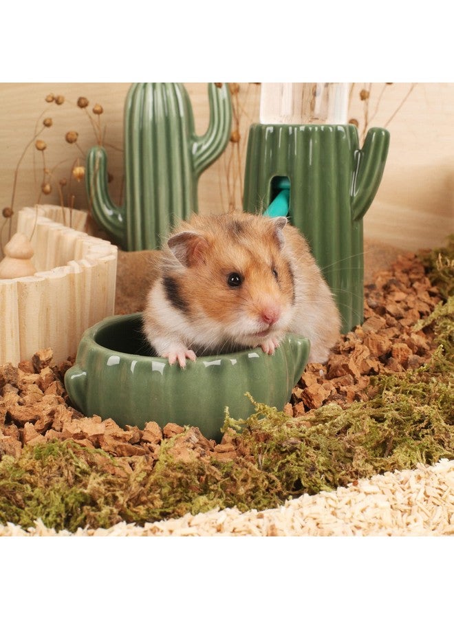 BUCATSTATE Food Bowl for Hamster 2PCS Cactus Drinking Bowl Waterproof Food Dish Ceramic Feeding Bowls for Small Animals, Birds, Guinea Pig, Chipmunk - Image 2
