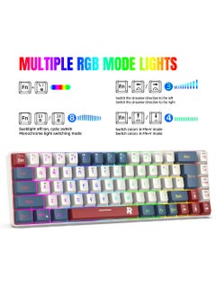 Rock Pow ROCK POW 60% Wired Gaming Keyboard RGB Backlit Mini Keyboard Waterproof Small Ultra-Compact 68 Keys Keyboard for PC/Mac Gamer Typist Travel Easy to Carry on Business Trip BWR  - Image 2