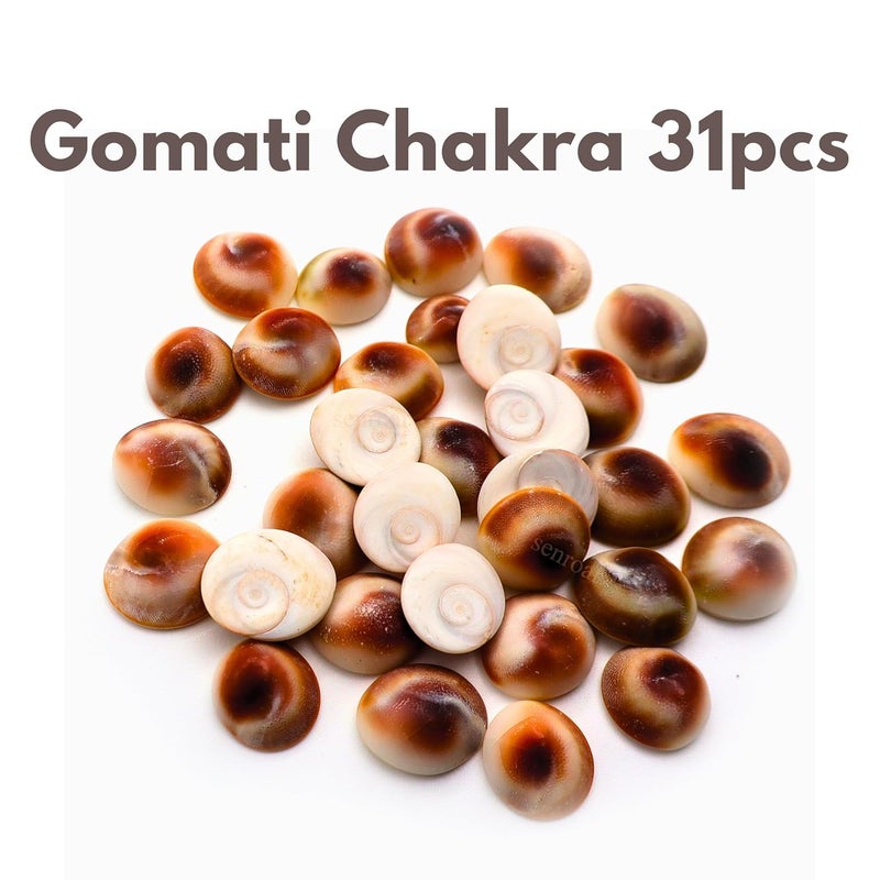 Senroar Gomati Chakra Natural River Stones 31 Pieces Gomathi River Dwarka Gomati Chakra 31pcs - Image 2