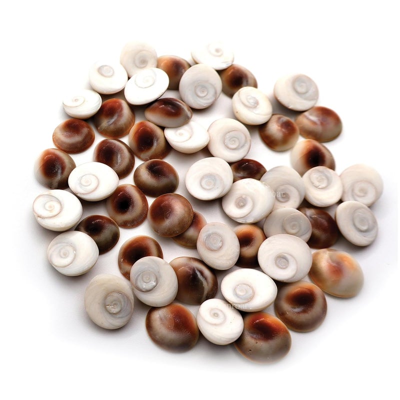 Senroar Gomati Chakra Natural River Stones 31 Pieces Gomathi River Dwarka Gomati Chakra 31pcs - Image 1