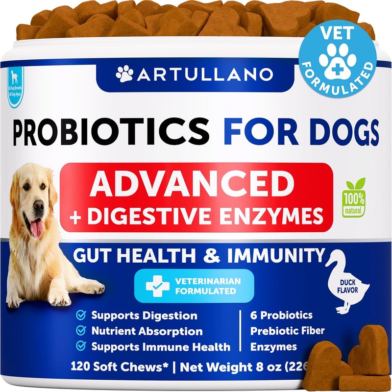 Artullano Probiotics for Dogs - Support Gut Health, Itchy Skin, Allergies, Immunity, Yeast Balance - Dog Probiotics and Digestive Enzymes with Prebiotics - Reduce Diarrhea, Gas - 120 Probiotic Chews for Dogs - Image 1