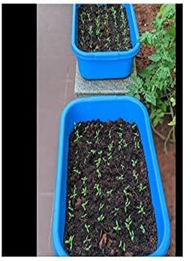 HETARMI ENTERPRISE Hetarmi Unbreakable Multipurpose Plastic Big Tray for Home, Tray for Office Work School Hospitals Shops Home use Stationary Vegetable Fruits(56.5x39.5x16.5) - Image 4