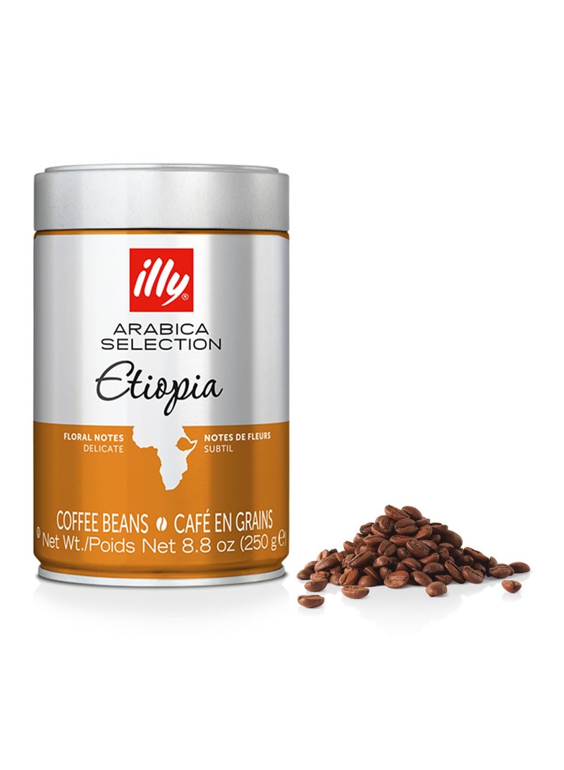 illy Coffee Beans - Ethiopia (250 G) - Image 1