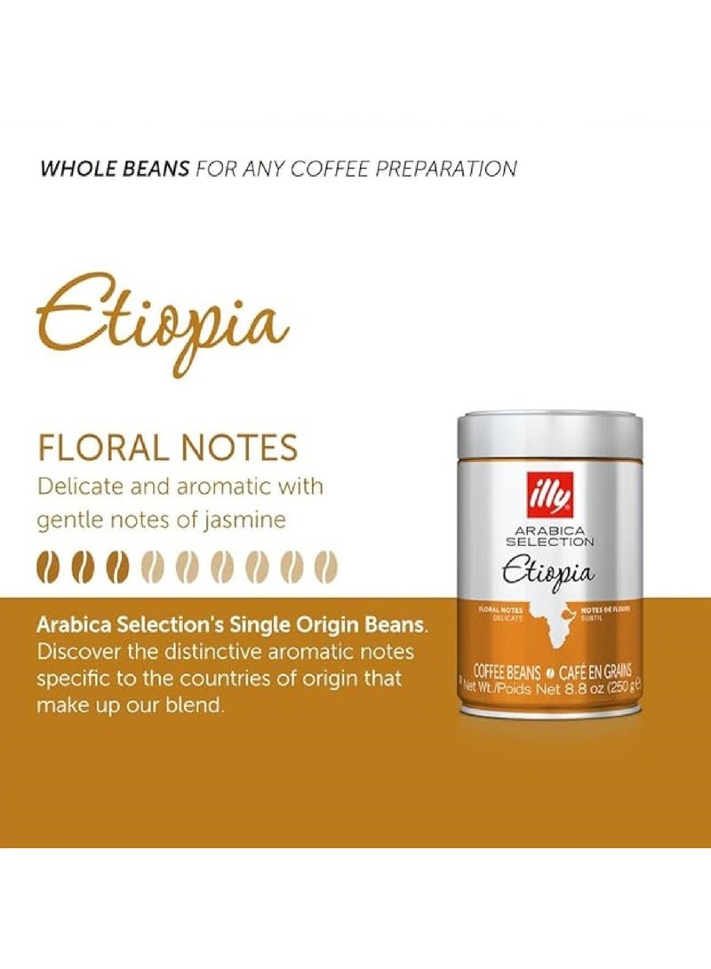 illy Coffee Beans - Ethiopia (250 G) - Image 2