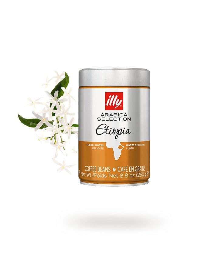 illy Coffee Beans - Ethiopia (250 G) - Image 4
