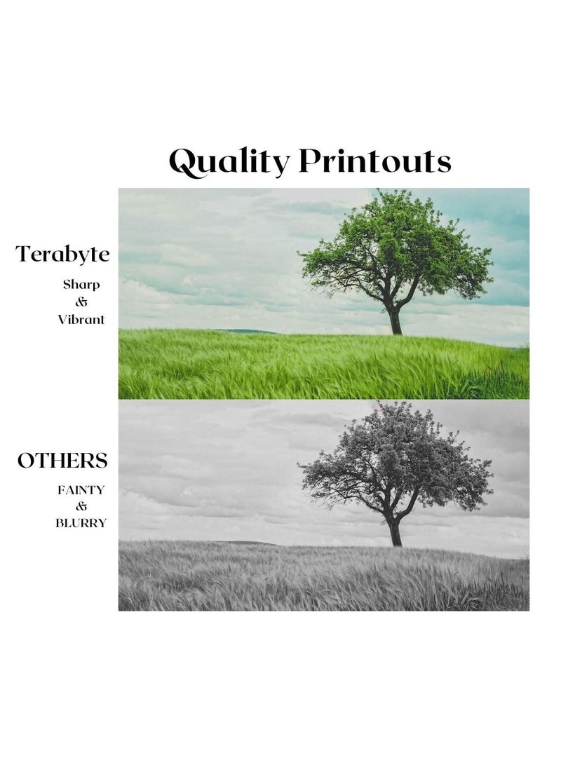 Terabyte XE6020 COMPATIBLE TONER - Image 2