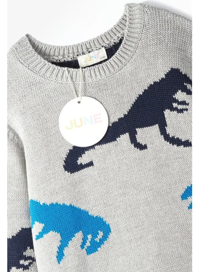 JUNE June Boy Dinosaur Patterned Sweater Grey