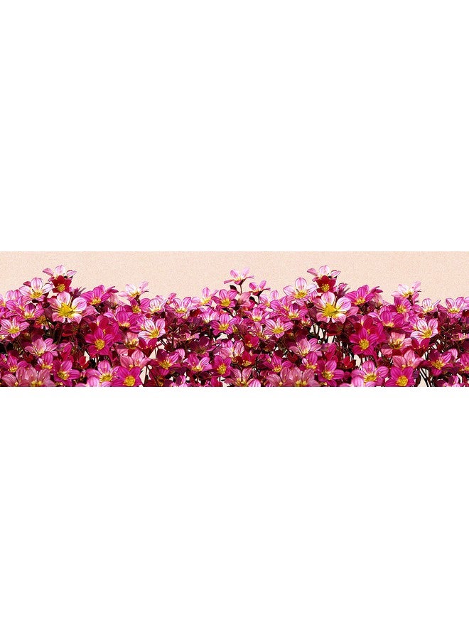 WallDesign تصميم الجدار شريط زخرفي من الفينيل زهور الكارولينا الطبيعية - عرض 5.25 بوصة وطول 5 أقدام - Image 1