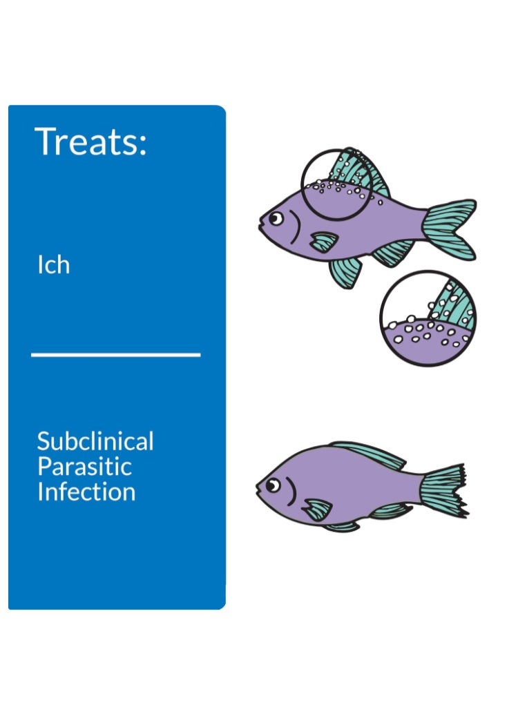 API Super ICK Cure for White Spots and Parasites - Image 5