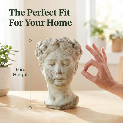 Distinctive Designs Greek/Roman Style Female Statue Head Cement Planter (Style 1) - Image 3