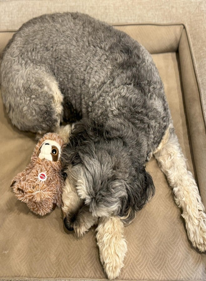 SPOT Fun Sloth Dog Toy - Soft, Stuffed, Squeaky, Plush Fabric Toy for Mini and Small Dogs and Puppies, Enrichment for Light Chewers and Cuddlers, 7in - Image 5
