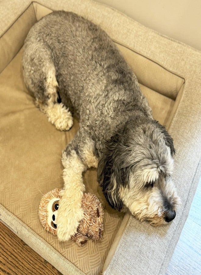 SPOT Fun Sloth Dog Toy - Soft, Stuffed, Squeaky, Plush Fabric Toy for Mini and Small Dogs and Puppies, Enrichment for Light Chewers and Cuddlers, 7in - Image 2