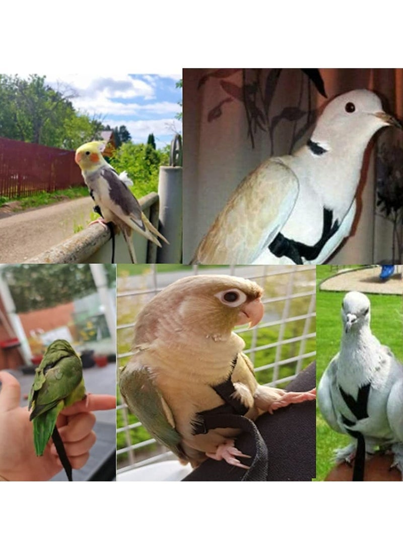 Strap for Parrots, Bird Bridle Chain, Adjustable Pet Parrot Bird Harness and Leash, Adjustable Outdoor Flying Traction Straps Band Adjustable Anti-Bite Training Rope（S） - Image 4