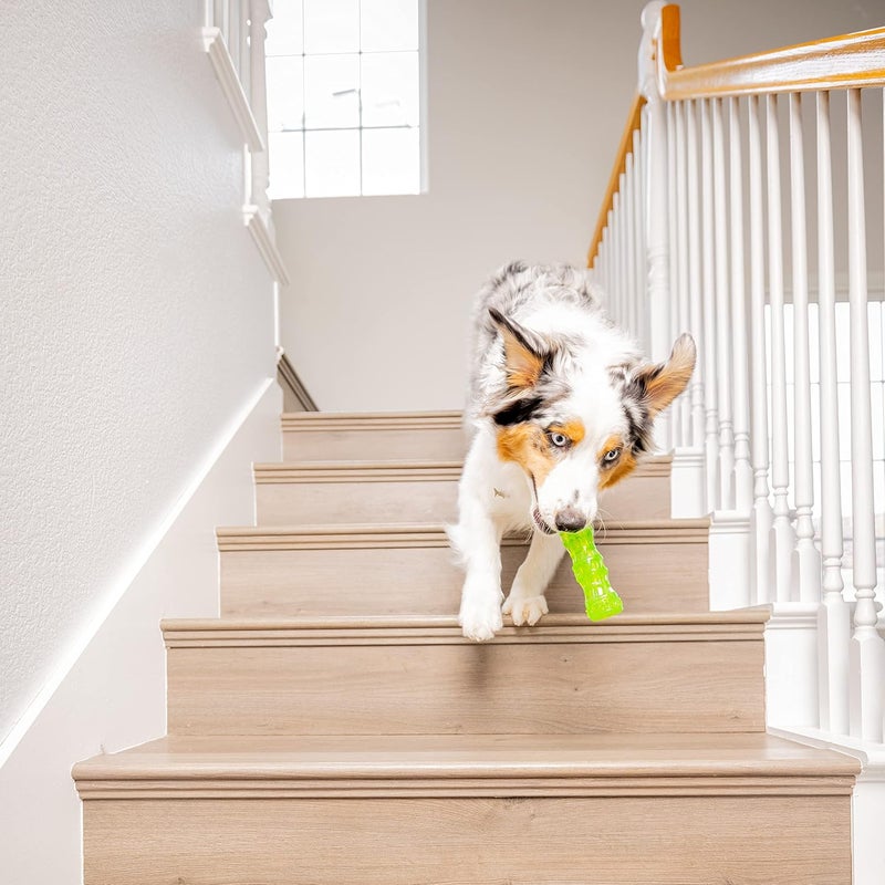 Hyper Pet Classic design alternatives Hyper Pet Dura-Squeaks Stick Dog Toy, Medium Extra part combo compatible - Image 5