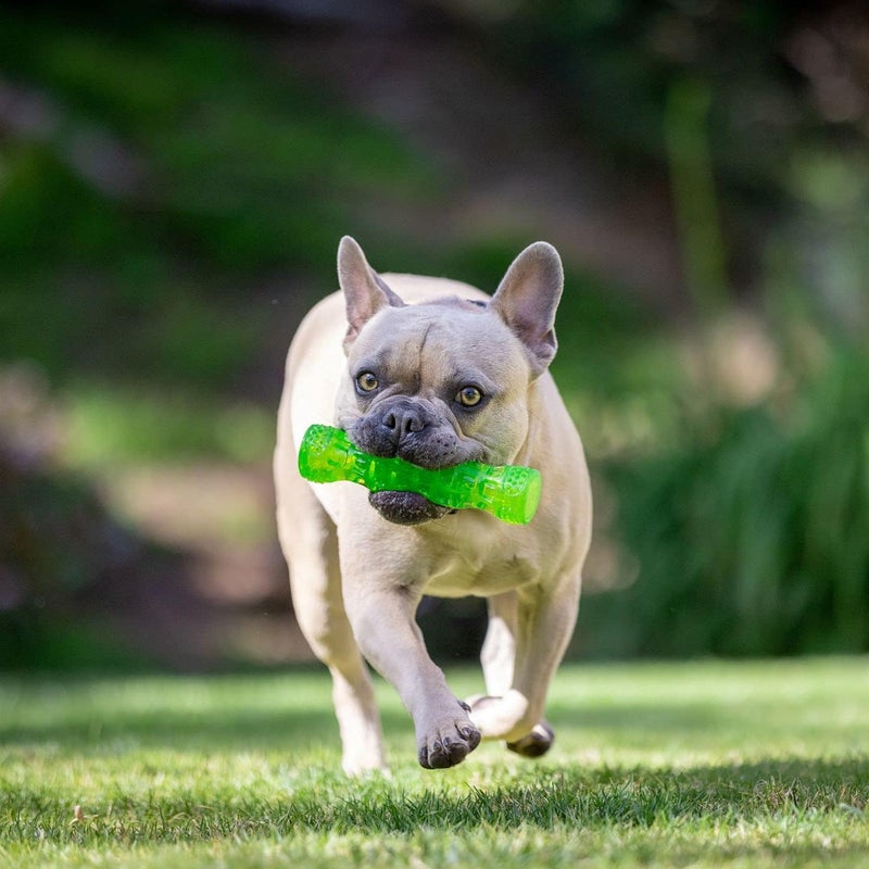 Hyper Pet Classic design alternatives Hyper Pet Dura-Squeaks Stick Dog Toy, Medium Extra part combo compatible - Image 3