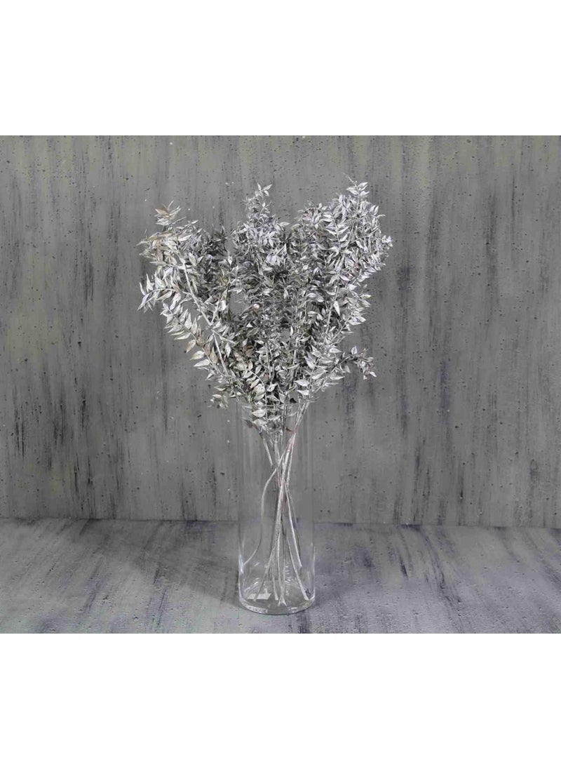CICI Dried Flower Dried Ruscus Silver  - Image 3