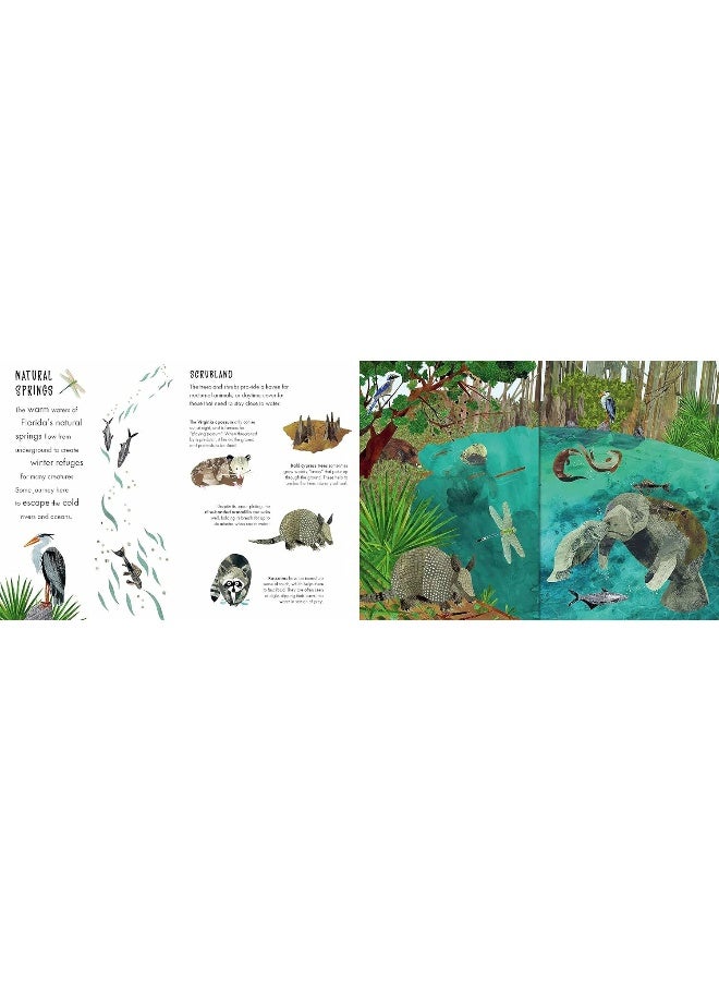 Habitats: A Journey in Nature - Image 3