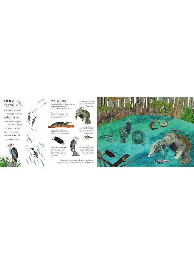 Habitats: A Journey in Nature - Image 4