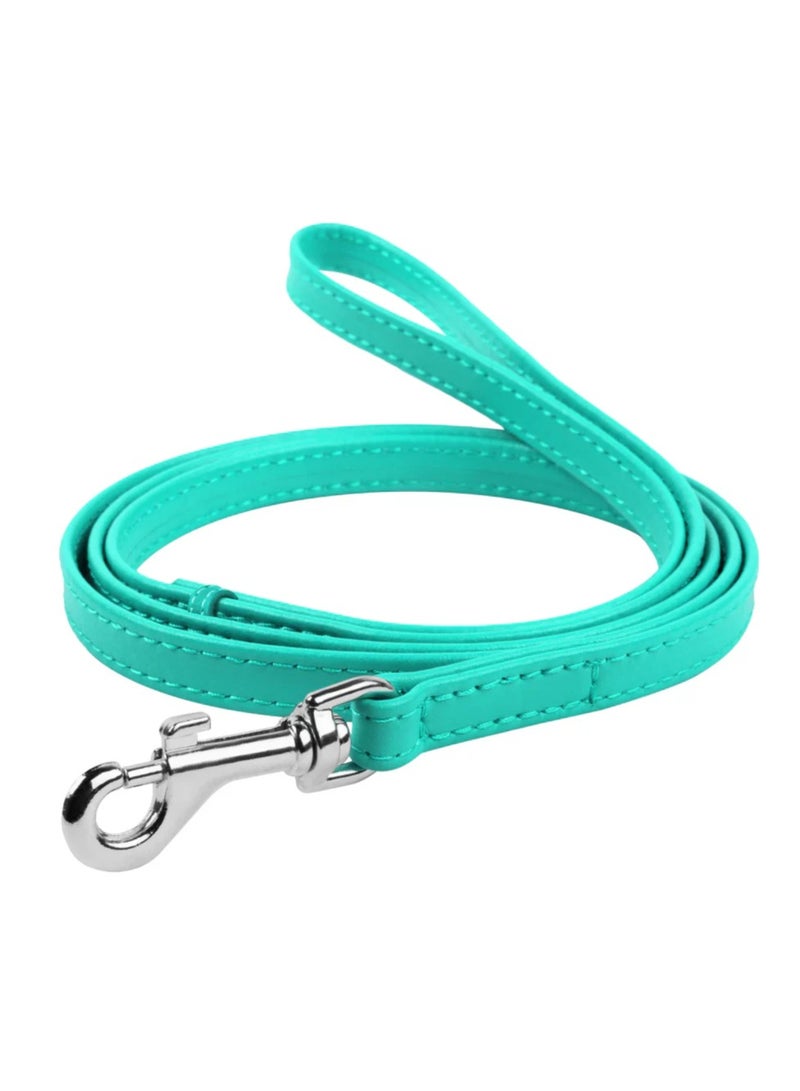 Adjustable Light Blue Dog Leash – Small to Large Dogs, 122 cm x 1.8 cm