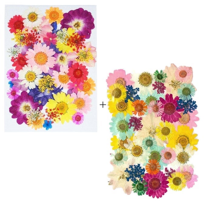 DRIED PRESSED REAL FLOWERS COLORFUL NATURAL DRIED FLOWERS DAISIES FOR CANDLES HANDMADE CRAFTS EPOXY DIY RESIN PENDANT JEWELLERY ACCESSORIES NAIL ART MIX COLORS 2 PACKS