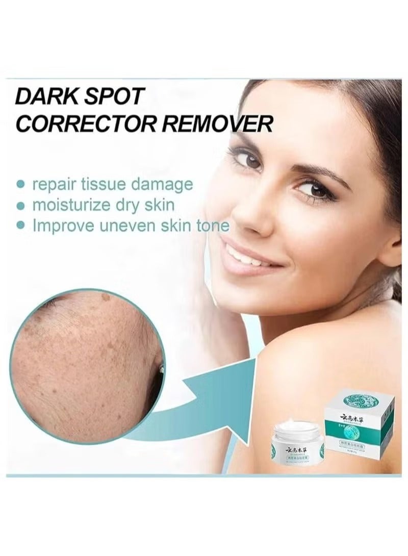 Hancy Japanese Melasma Cream Dr. Hansi White Spot Cream China, Dr. Hansi White Spot Correction Cream, Chinese Dark Spot Correction Cream Dr. Hansi Prevent White Spots for Dry and Sensitive Skin by Hansi-3pcs - Image 5