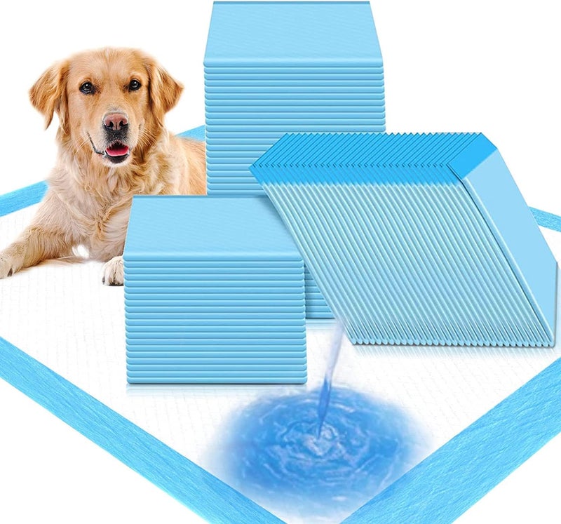 Professional Disposable Puppy Training Pads - High-Efficiency Super Absorbent Floor Shield - Durable Leak-Proof Animal Pee Mats (Pack of 60, 60x90cm, Blue) - Manual Domestic Pet Asset Management Utility