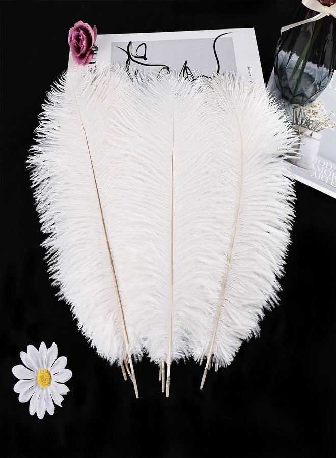 THARAHT White Ostrich Feathers 24pcs Natural Bulk 8-10Inch 20cm-25cm for Crafts Wedding Party Centerpieces Christmas Tree Decoration Feathers - Image 4