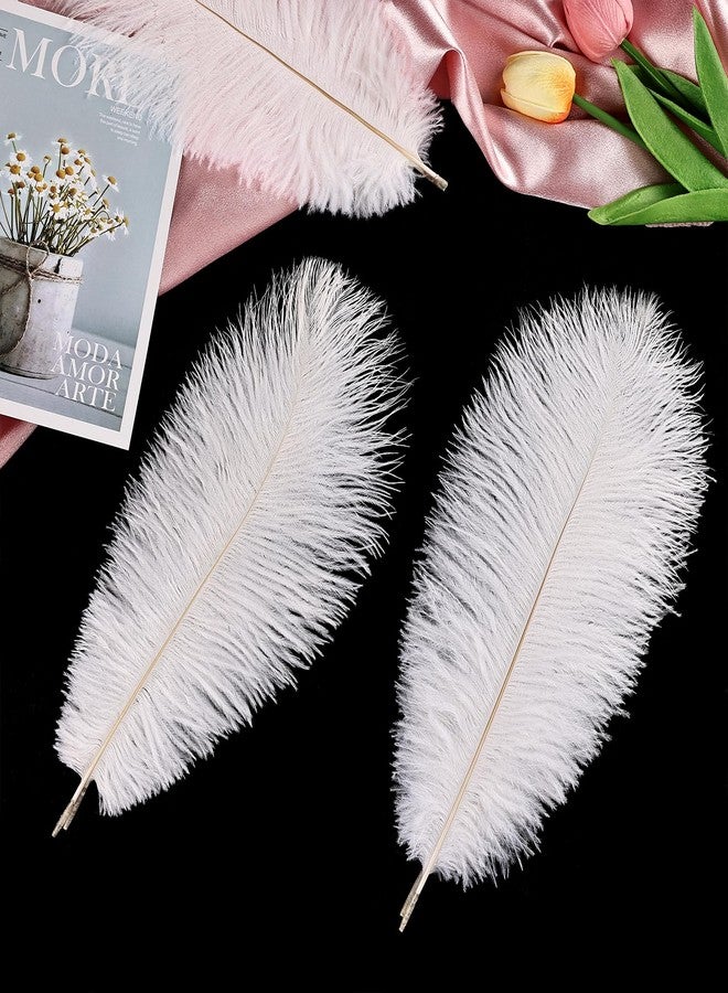 THARAHT White Ostrich Feathers 24pcs Natural Bulk 8-10Inch 20cm-25cm for Crafts Wedding Party Centerpieces Christmas Tree Decoration Feathers - Image 3
