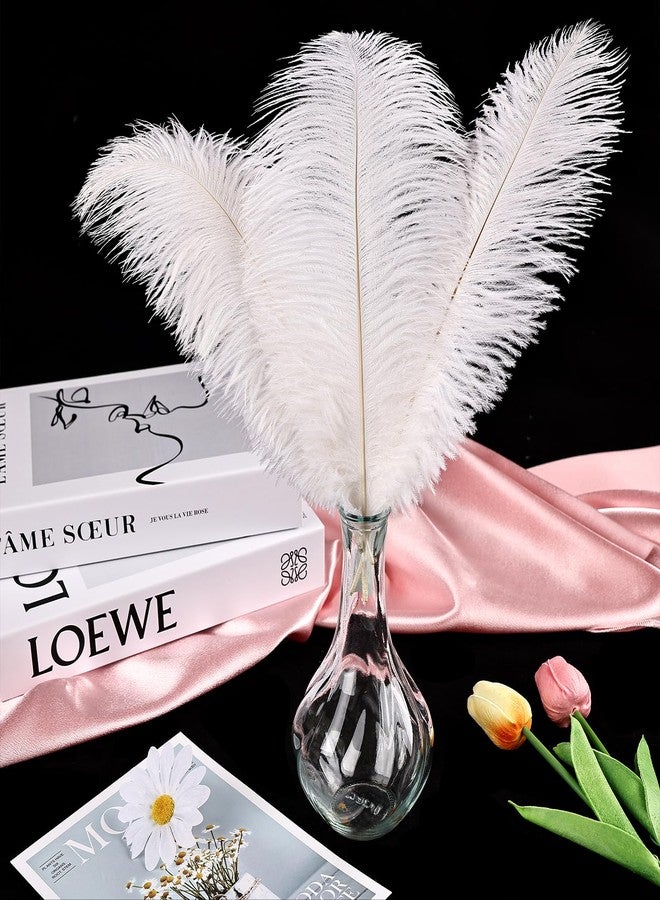 THARAHT White Ostrich Feathers 24pcs Natural Bulk 8-10Inch 20cm-25cm for Crafts Wedding Party Centerpieces Christmas Tree Decoration Feathers - Image 5