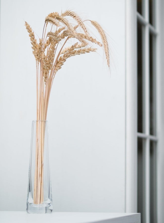 بارسكي مزهرية بارسكي الزجاجية الصغيرة - للزهور والورود - ارتفاع 7.6 بوصة - صنع في أوروبا - Image 3