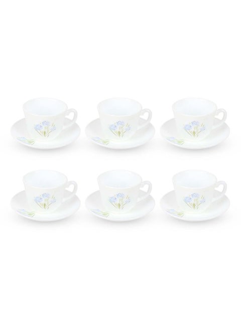 Cup And Saucer 22cl 12pcs S Bloom