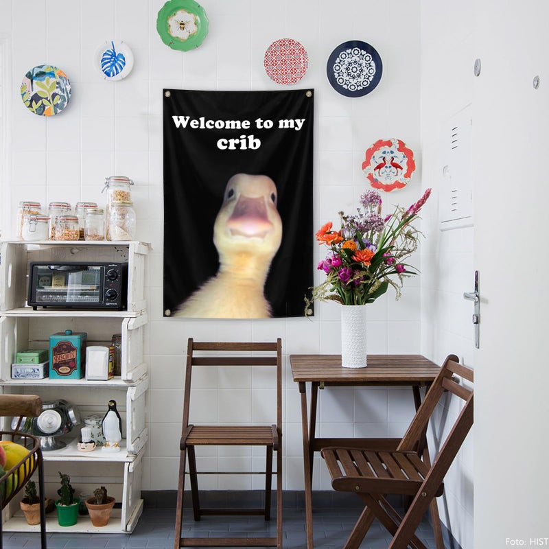 XEODE Welcome to My Crib Flagï¼Œ2x3 Feet Tapestry Funny Poster Durable Man Cave Wall Flag with Brass Grommets room decor for bedroom Banner - Image 5