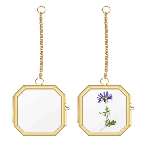 NSdawali Pressed Flower Frames, 2.3 Inch Mini Hanging Double Glass Picture Frame with Chain Brass Wall Hanging Photo Frames Floating Frame for Pressed Flowers DIY Vintage Home Decor (Gold, 2pcs-Octagon) - Image 1