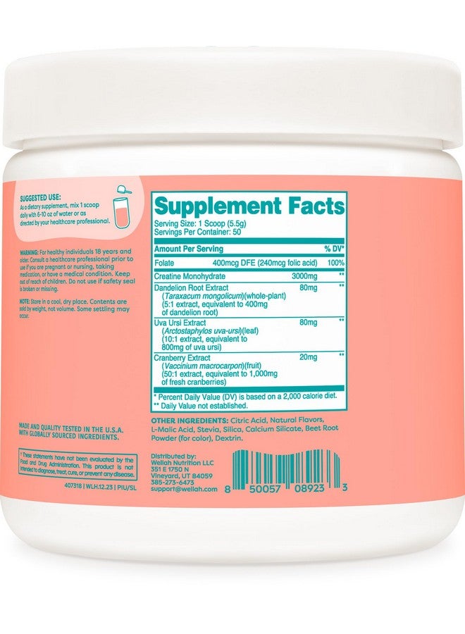 Wellah Pump-It-Up Creatine (50 Servings, Strawberry Lemonade) - Creatine Monohydrate with Dandelion, Uva Ursi, & Cranberry Extract - Image 4