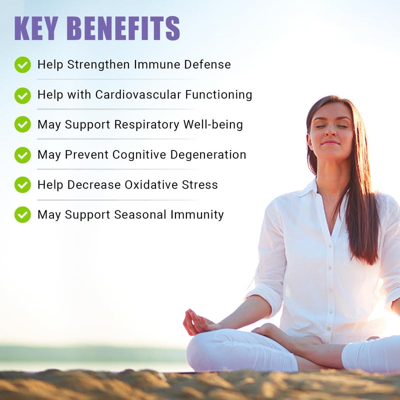 Ancient Bliss Quercetin with Bromelain  Quercetin 1000mg Bromelain 200mg per Serving  Supports Immune System Joint Health Respiratory Health  Overall WellBeing  120 Capsules - Image 5