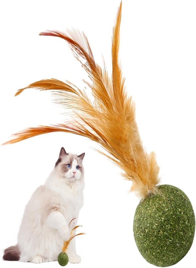 Pxiryanlow Interactive Catnip Cat Toys,Cat Toys Catnip - Edible Kitten Feather Ball for Cats Lick,Safe Healthy Kitten Chew, Teeth Cleaning,Cat Treats - Image 1