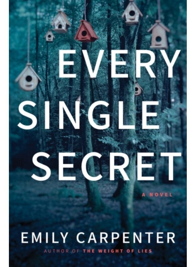 Every Single Secret A Novel - Paperback