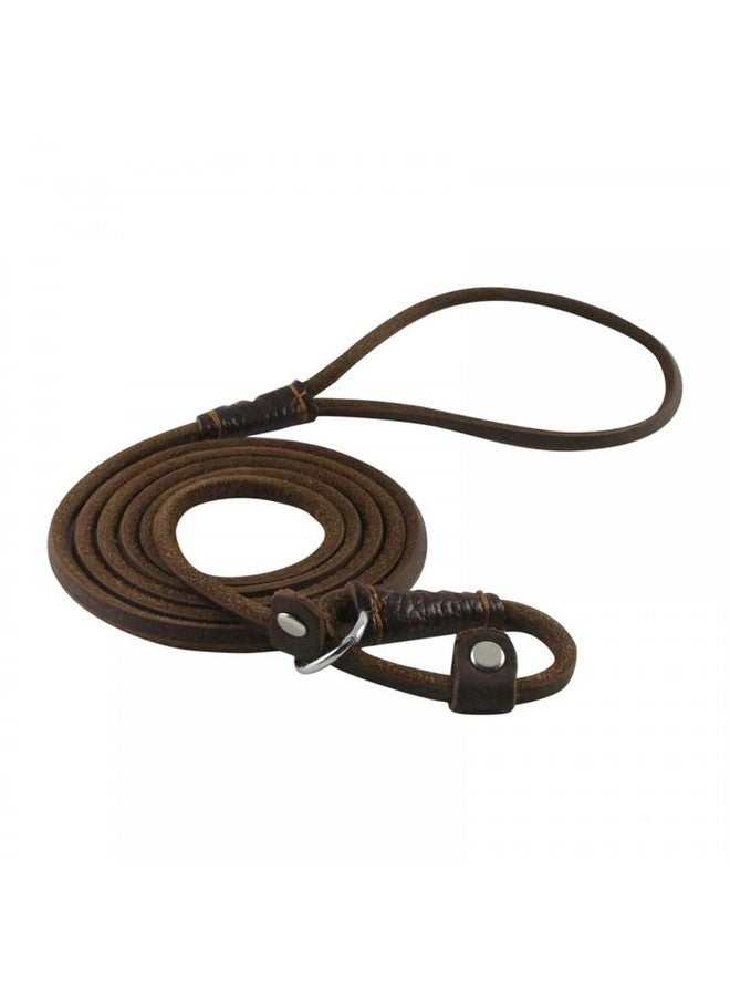 DONGKER Dog Slip Lead,5ft 2-in-1 Leather Pet Training Walking Leash Adjustable Neck Size for Small Medium Lage Dogs - Image 1