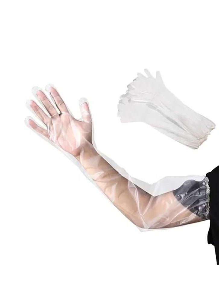 Generic 20pcs Disposable Long Arm Gloves with Elastic Cuff 23.6inch Household Cleaning Gloves Thick Kitchen Dishwashing Gloves Food Handling Gloves Vegetable Washing Gloves  - Image 1