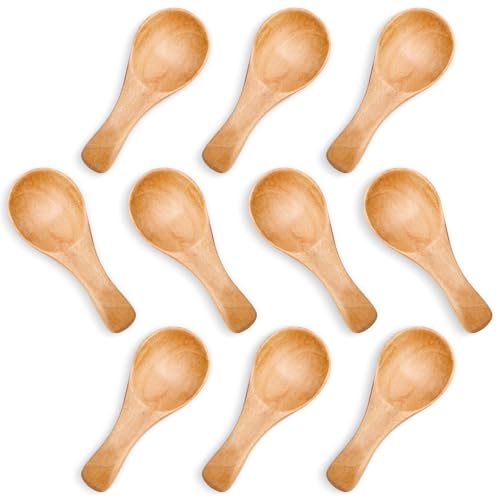 HANSGO 10PCS Small Wooden Spoons, 3 Inch Small Spoons for Spice Jars, Salt, Grains, Sugar, Coffee, Honey, Dessert, Tea, Mini Wooden Teaspoons for Kitchen, Ideal Gifts - Image 1