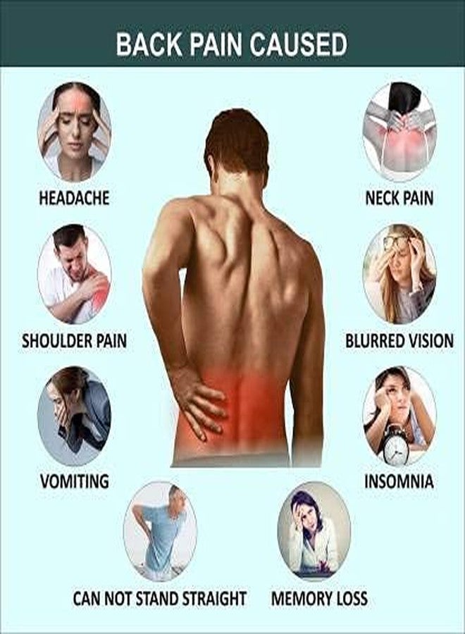 KUDIZE Lumbar Sacral Belt Contoured Spinal Brace Spondylosis Acute Chronic Mild Lower Back Pain Slip Disc Post Disketomy care Fracture Injuries Abdominal Belt Long working Travel (Medium) - Image 5