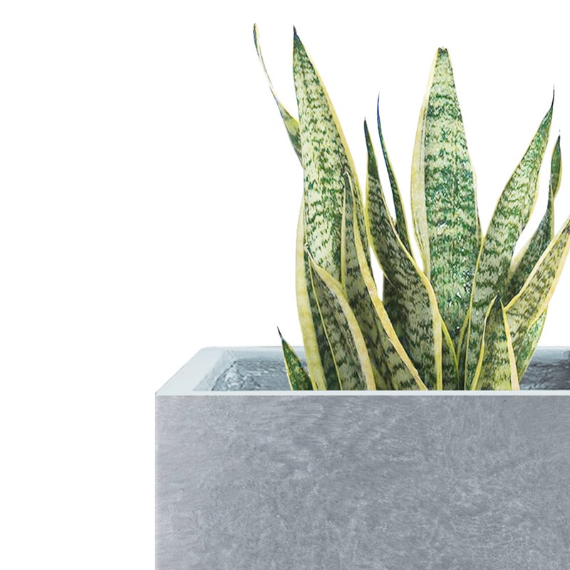 Kante 15.7" H Tall Rectangular Concrete Planters, Outdoor Indoor Lightweight Plant Pots with Drainage Hole and Rubber Plug, Modern Style for Home Garden Patio, Slate Gray - Image 3