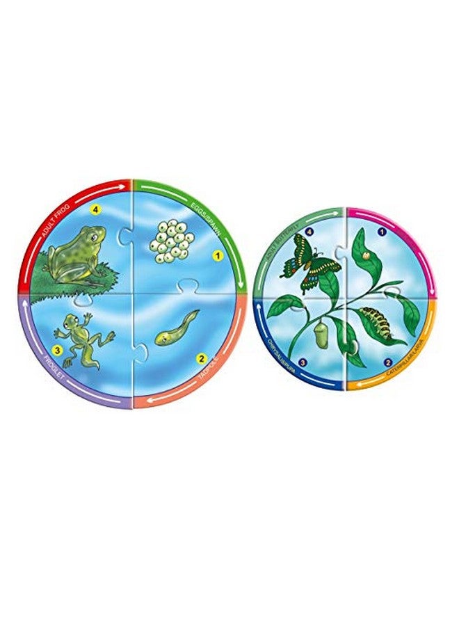 Creative's Creative Educational Aids- Life Cycles - Image 4