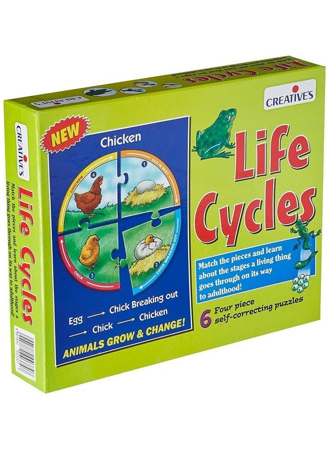 Creative's Creative Educational Aids- Life Cycles - Image 1