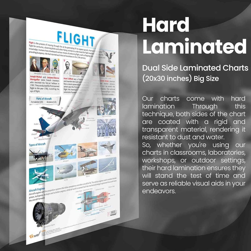GoWoo FLIGHT and ELECTRONIC chart | combo of 2 charts | Skyward Bound: Flight and Electronic Frontiers - Image 2